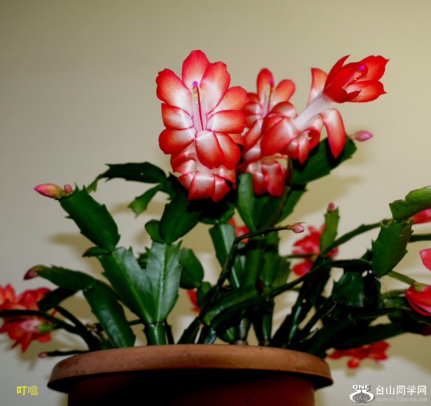 DSC02644b_1.jpg