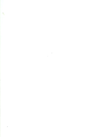 .jpg
