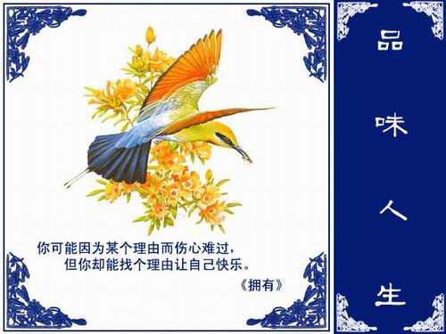 1ebca3c4a59e43a48326acea.jpg