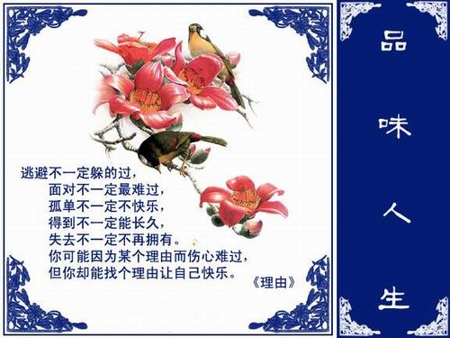 8050a8fe37febc3c5d6008ea.jpg
