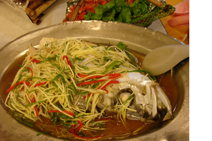 DSC04208.JPG