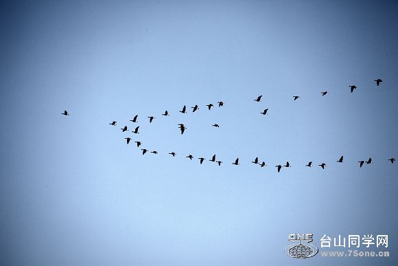 IMG_7430.jpg