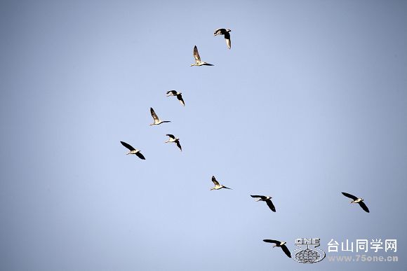 IMG_7500.jpg