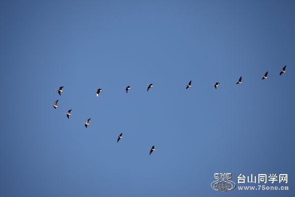 IMG_7503.jpg