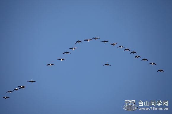IMG_7506.jpg