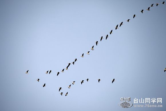 IMG_7508.jpg