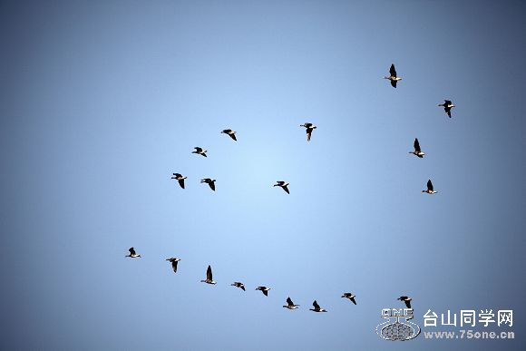 IMG_7563.jpg