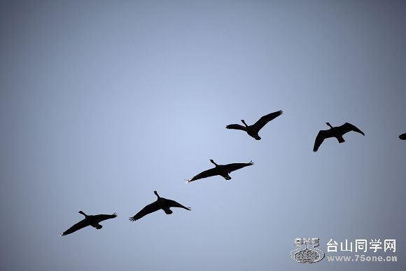 IMG_7564.jpg