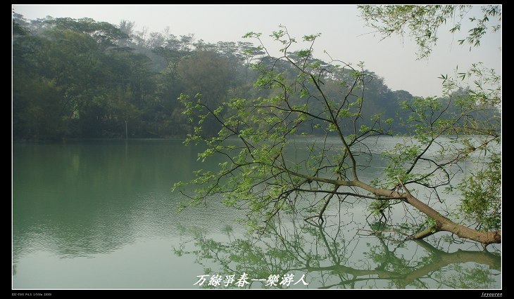 DSC00370.jpg