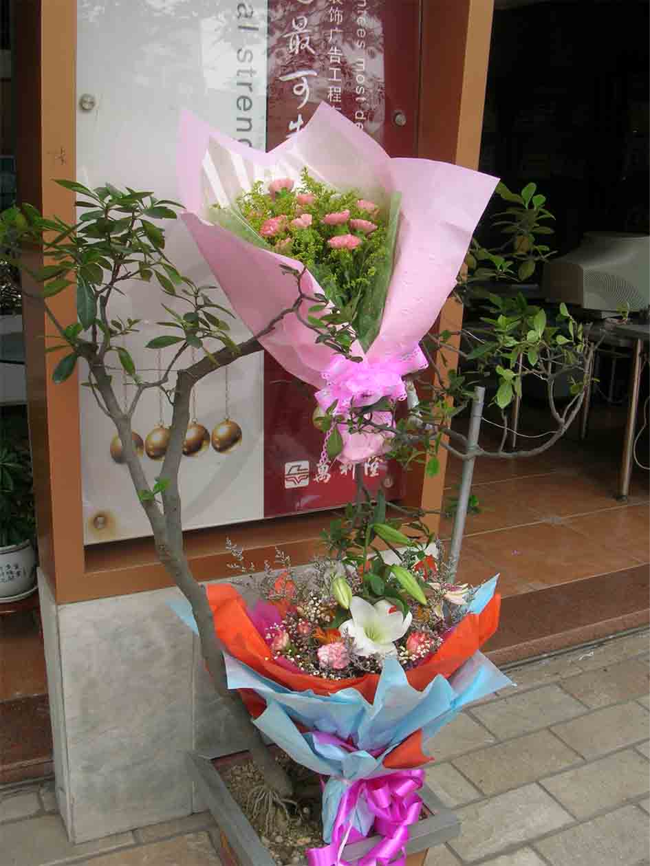 DSCN5871.jpg