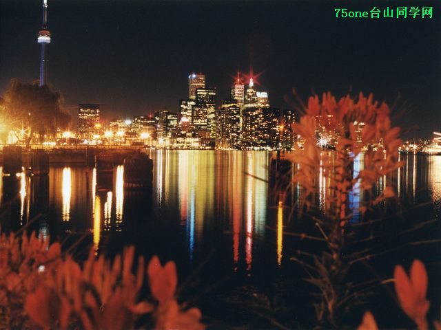 Toronto_Skyline_at_night.jpg