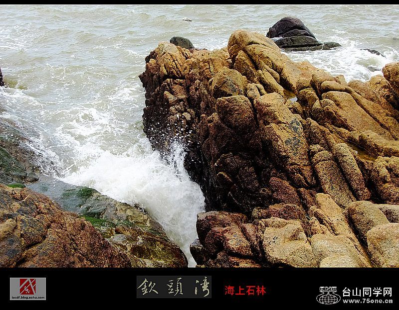 129353a88fdg215_conew1.jpg