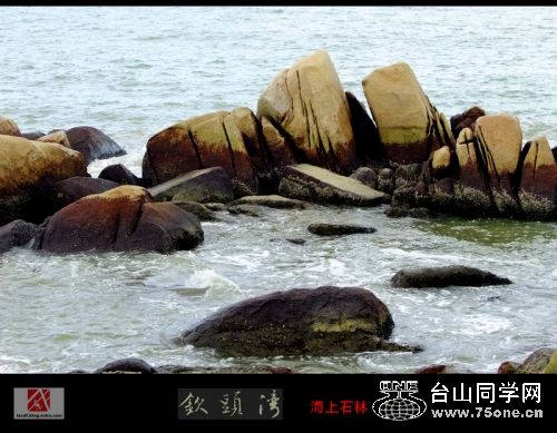 12935376ff2g214_conew1.jpg